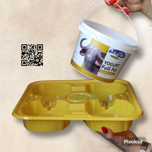 پروژه چهار پروژه چهار